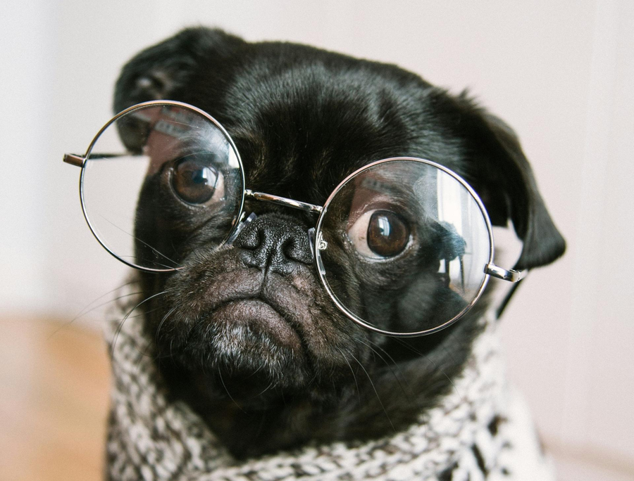 Waarom 'fake it till you make it' niet werkt voor introverten 