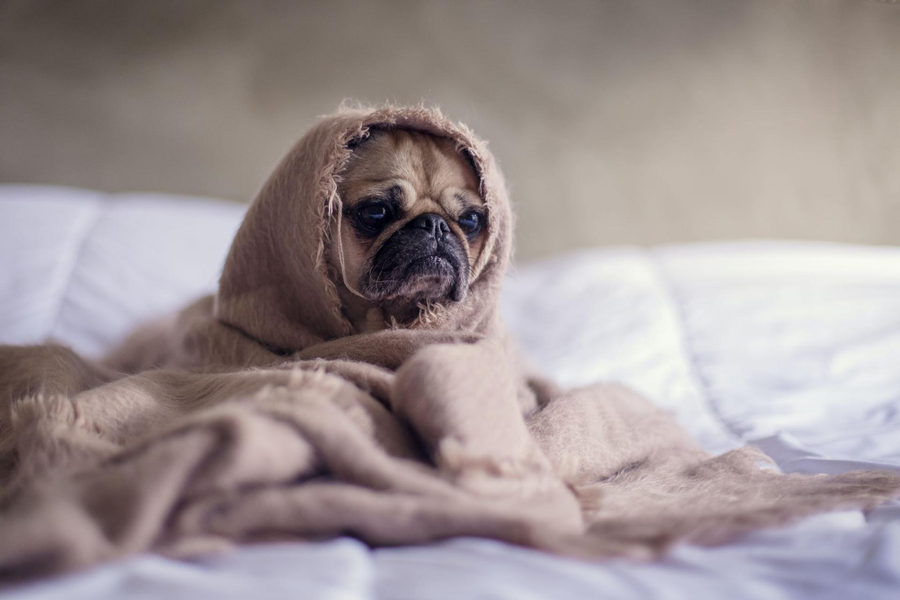 Introversie en emotioneel welzijn: omgaan met stress