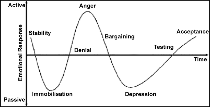 De Kübler-Ross curve